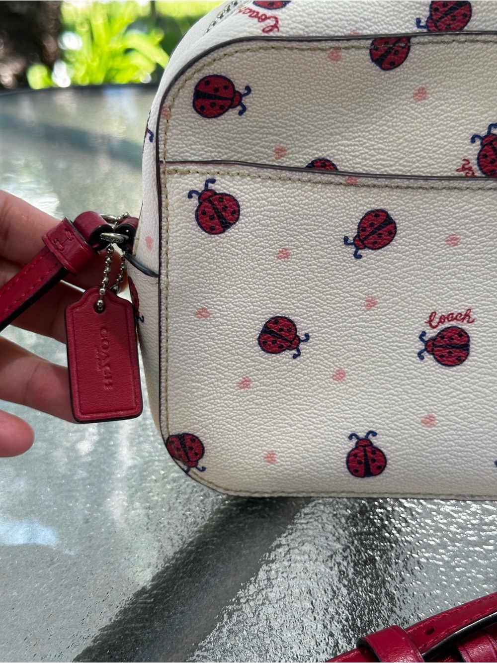 Coach Ladybug Mini Camera Bag (Chalk/Red/Multi) - Picture 3 of 4